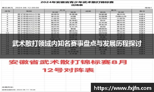 武术散打领域内知名赛事盘点与发展历程探讨