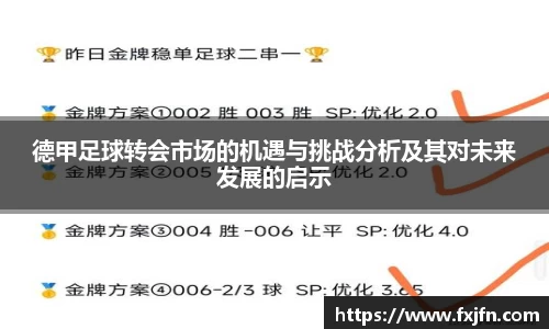 德甲足球转会市场的机遇与挑战分析及其对未来发展的启示