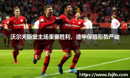 沃尔夫斯堡主场重要胜利，德甲保级形势严峻